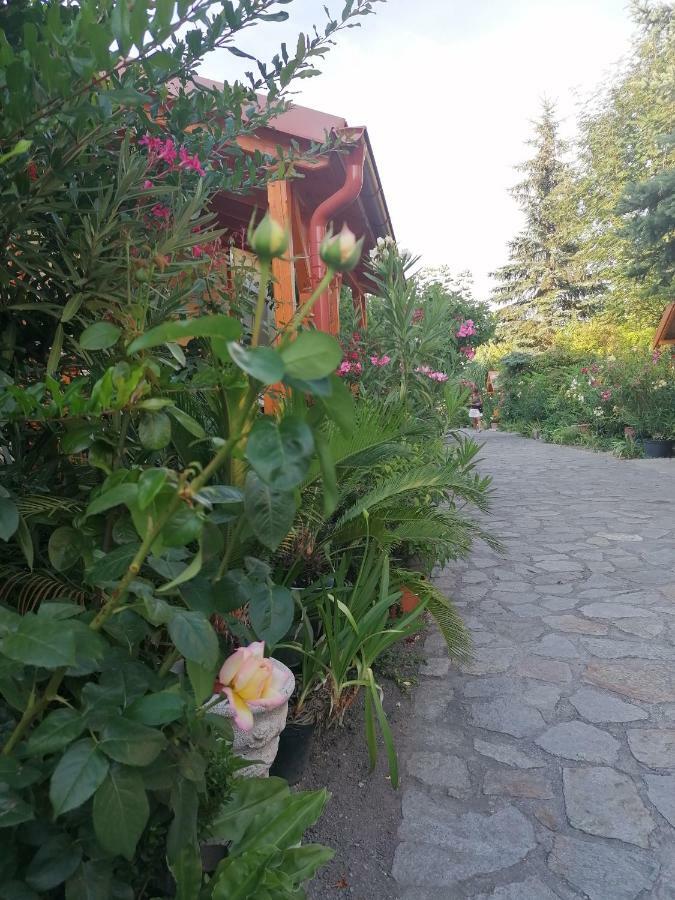 Bed and Breakfast Szentesi Panzió Fertőrákos Esterno foto