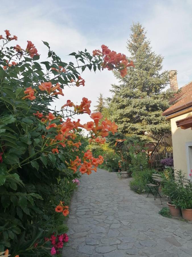 Bed and Breakfast Szentesi Panzió Fertőrákos Esterno foto
