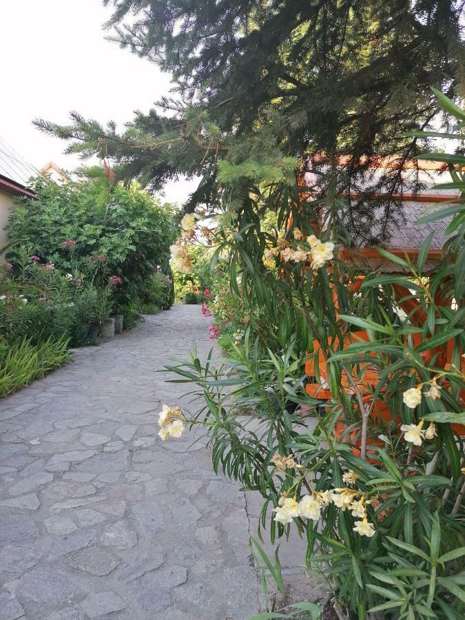 Bed and Breakfast Szentesi Panzió Fertőrákos Esterno foto
